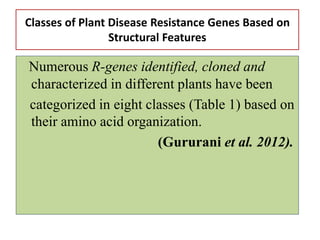 Classes of Plant Disease Resistance Genes Based on
Structural Features
Numerous R-genes identified, cloned and
characterized in different plants have been
categorized in eight classes (Table 1) based on
their amino acid organization.
(Gururani et al. 2012).
 