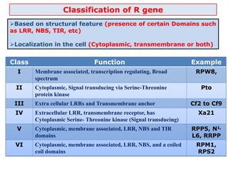 Classification of R gene
Based on structural feature (presence of certain Domains such
as LRR, NBS, TIR, etc)
Localization in the cell (Cytoplasmic, transmembrane or both)
Class Function Example
I Membrane associated, transcription regulating, Broad
spectrum
RPW8,
II Cytoplasmic, Signal transducing via Serine-Threonine
protein kinase
Pto
III Extra cellular LRRs and Transmembrane anchor Cf2 to Cf9
IV Extracellular LRR, transmembrane receptor, has
Cytoplasmic Serine- Threonine kinase (Signal transducing)
Xa21
V Cytoplasmic, membrane associated, LRR, NBS and TIR
domains
RPP5, N1,
L6, RRPP
VI Cytoplasmic, membrane associated, LRR, NBS, and a coiled
coil domains
RPM1,
RPS2
 