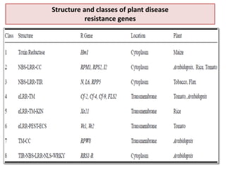 Structure and classes of plant disease
resistance genes
 