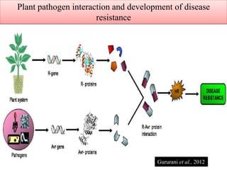 Plant pathogen interaction and development of disease
resistance
Gururani et al., 2012
 