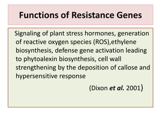 Functions of Resistance Genes
Signaling of plant stress hormones, generation
of reactive oxygen species (ROS),ethylene
biosynthesis, defense gene activation leading
to phytoalexin biosynthesis, cell wall
strengthening by the deposition of callose and
hypersensitive response
(Dixon et al. 2001)
 
