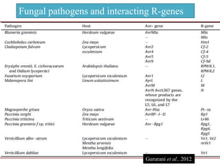 Fungal pathogens and interacting R-genes
Gururani et al., 2012
 