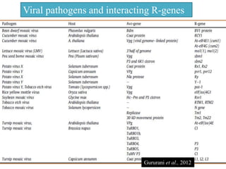 Viral pathogens and interacting R-genes
Gururani et al., 2012
 