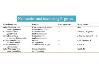 Nematodes and interacting R-genes
 
