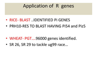 Application of R genes
• RICE- BLAST ..IDENTIFIED Pi GENES
• PRH10-RES TO BLAST HAVING Pi54 and Piz5
• WHEAT- PGT….96000 genes identified.
• SR 26, SR 29 to tackle ug99 race…
 