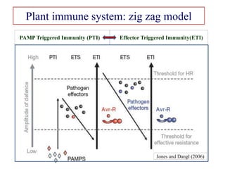 Plant immune system: zig zag model
PAMP Triggered Immunity (PTI) Effector Triggered Immunity(ETI)
Jones and Dangl (2006)
 