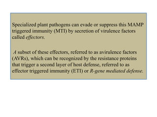 Specialized plant pathogens can evade or suppress this MAMP
triggered immunity (MTI) by secretion of virulence factors
called effectors.
A subset of these effectors, referred to as avirulence factors
(AVRs), which can be recognized by the resistance proteins
that trigger a second layer of host defense, referred to as
effector triggered immunity (ETI) or R-gene mediated defense.
 