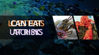 LOBSTERS
AT	RISK
CAN	EAT
URCHINS
 