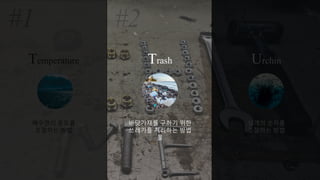 Temperature Trash Urchin
해수면의 온도를
조절하는 방법
바닷가재를 구하기 위한
쓰레기를 처리하는 방법
을
성게의 숫자를
조절하는 방법
 
