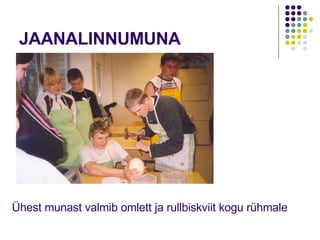 JAANALINNUMUNA Ühest munast valmib omlett ja rullbiskviit kogu rühmale 