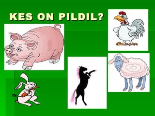 KES ON PILDIL? 