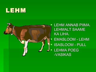 LEHM LEHM ANNAB PIIMA. LEHMALT SAAME KA LIHA. EMASLOOM - LEHM ISASLOOM - PULL LEHMA POEG -VASIKAS 