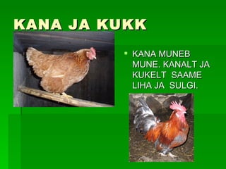 KANA JA KUKK  KANA MUNEB MUNE. KANALT JA KUKELT  SAAME  LIHA JA  SULGI. 