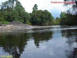 Padakulam Kodungallur

Kodungallur

 