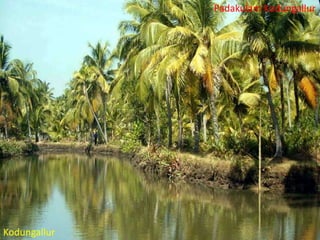 Padakulam Kodungallur

Kodungallur

 
