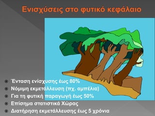  Ένταση ενίσχυσης έως 80%
 Νόμιμη εκμετάλλευση (πχ. αμπέλια)
 Για τη φυτική παραγωγή έως 50%
 Επίσημα στατιστικά Χώρας
 Διατήρηση εκμετάλλευσης έως 5 χρόνια
 