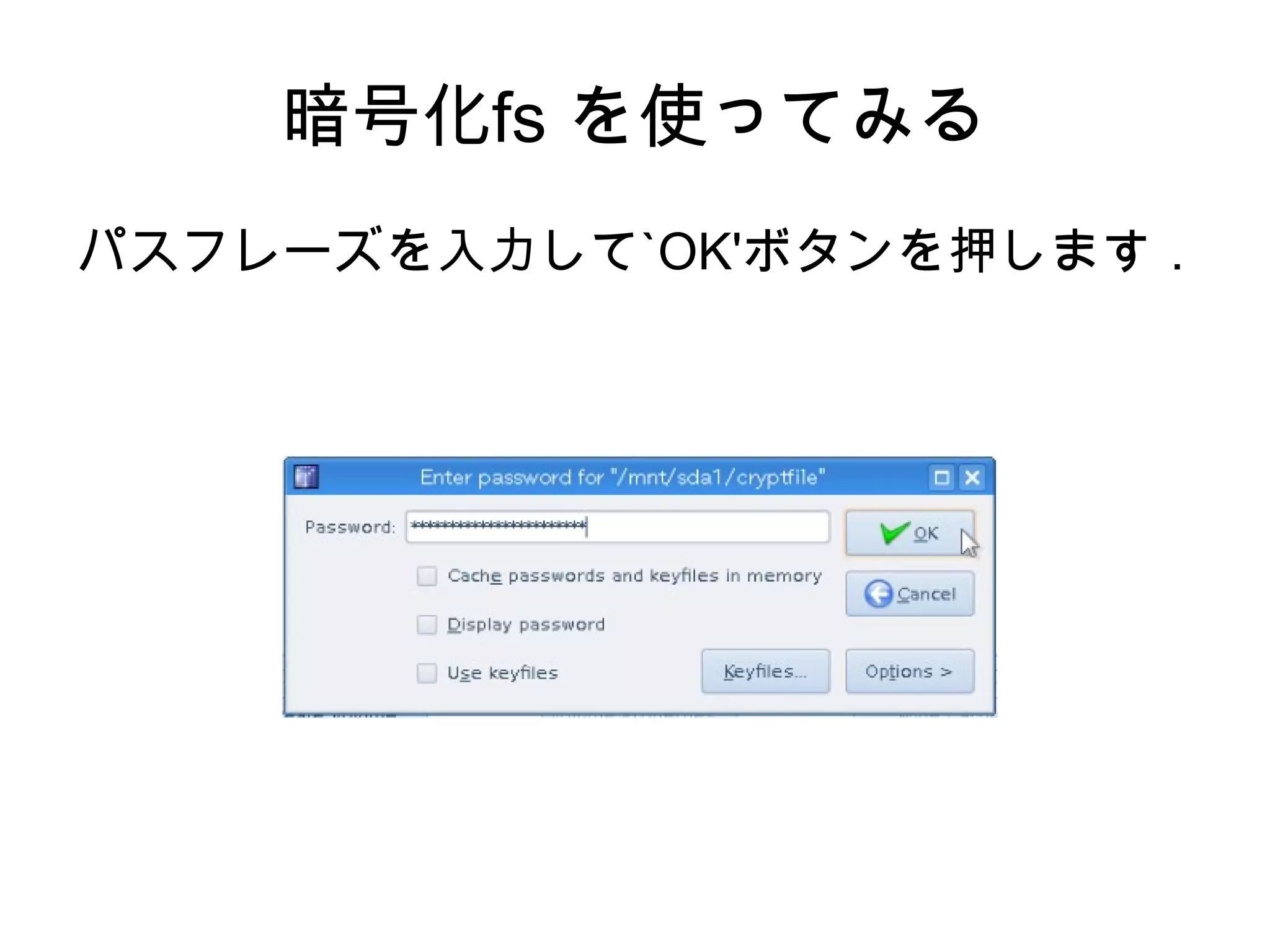 暗号化fs を作ってみる 今回は暗号化ファイルを作成し，そのファイルをマウントして暗号化fsとして利用してみます． 
