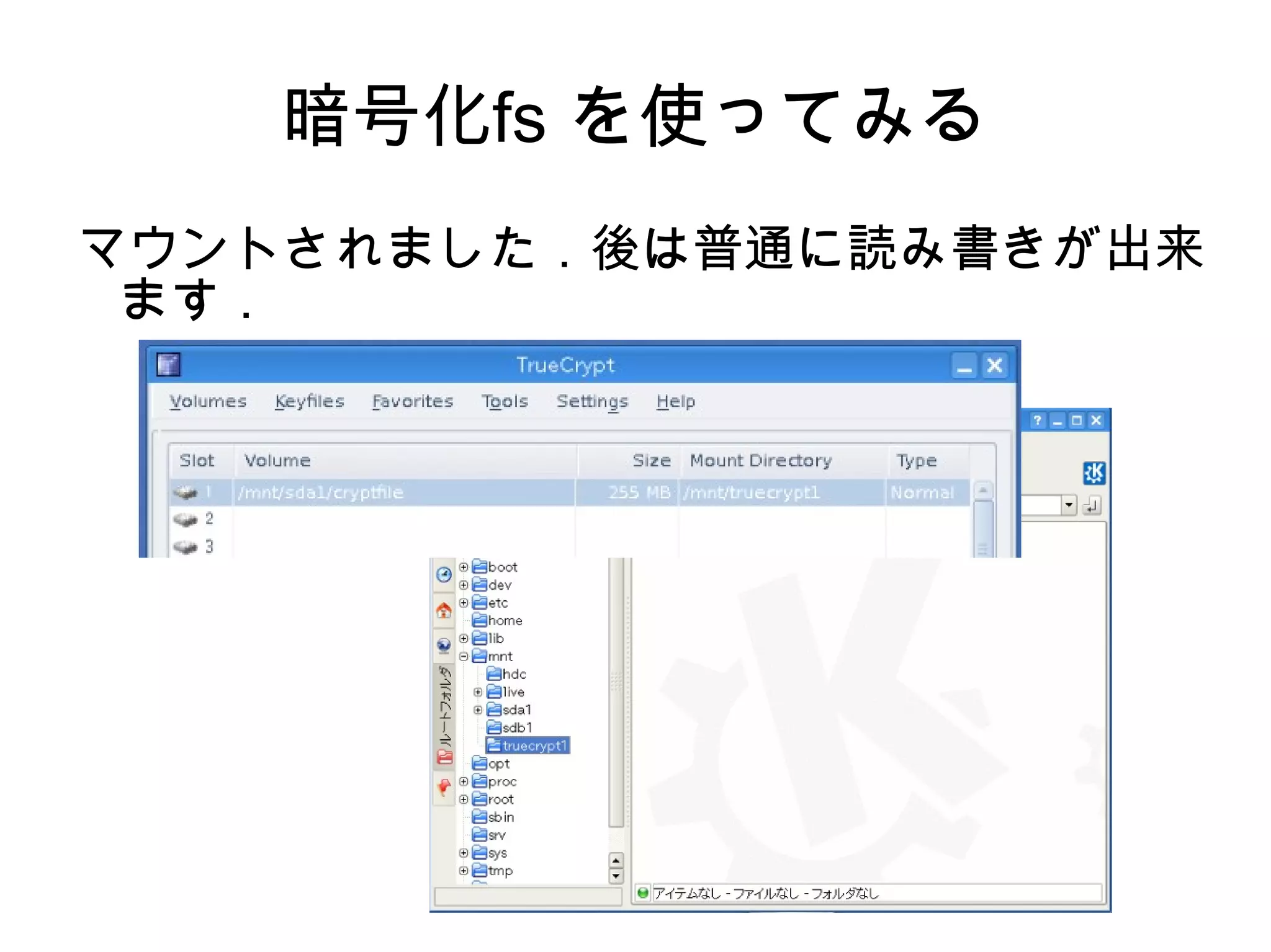 先ず，usb メモリをマウントします．/dev/sda1 の場合は， # mount /dev/sda1 /mnt/sda1 truecrypt コマンドを実行するとTrueCrypt が起動します． 