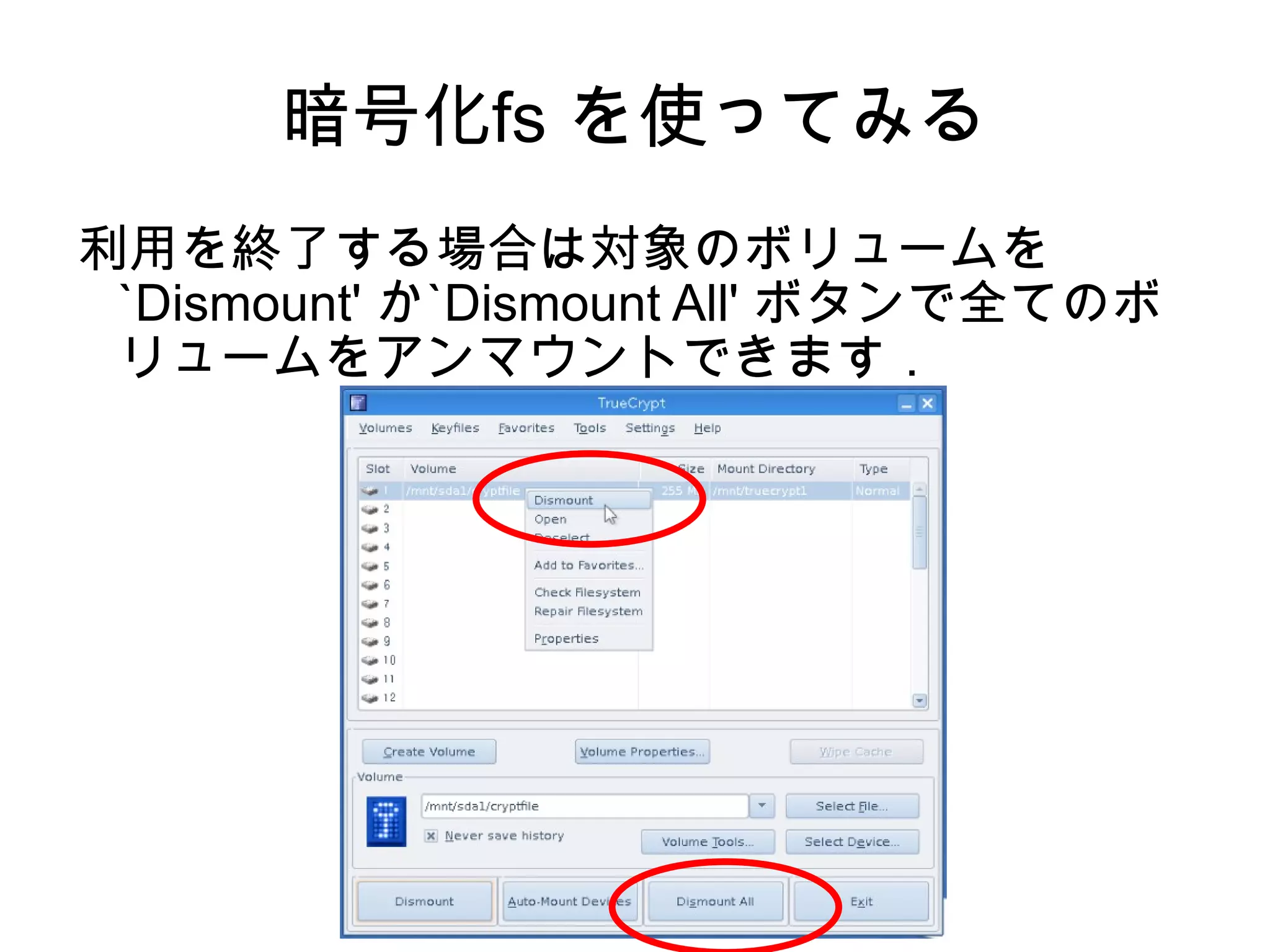 暗号化fs を作ってみる `Create Volume' ボタンを押します． 