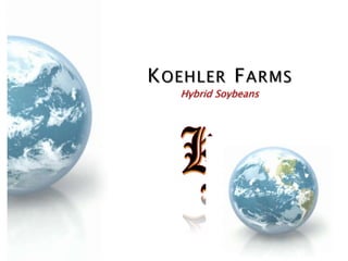 KOEHLER FARMS
  Hybrid Soybeans
 