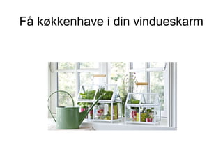 Få køkkenhave i din vindueskarm
 