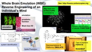 Whole Brain Emulation (WBE):
Reverse Engineering of an Big black box
STRUCTURE Individual’s Mind

See: http://koene.carbon...