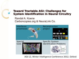 Toward Tractable AGI: Challenges for
System Identification in Neural Circuitry
 Randal A. Koene
 Carboncopies.org & NeuraLink Co.
  Interfaces                  Reconstruction
  prostheses                  project




  Special                     Specific System
  tools                       Identification Problems




            AGI-12, Winter Intelligence Conference 2012, Oxford
 
