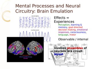 Mental Processes and Neural
Circuitry: Brain Emulation
                Effects =
                Experiences
                  Perception, learning &
                  memory, goal directed
                  decision making, emotional
                  responses, consciousness,
                  language, motor

                  Observable / internal


                Involves ensembles of
                neurons in a circuit
                layout
 