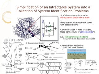 Simplification of an Intractable System into a
Collection of System Identification Problems
                           SI of observable + internal =
                           intractable if black box is brain

                           Many communicating black boxes
                           with accessible I/O

                           Communication = note locations,
                           trace connectivity (“Connectomics”)

                           E.g. compartmental modeling
                              Briggman et al & Bock et al, Nature 2011



                           Characteristic responses
                              ADP, AHP, AMPA, s/fNMDA
 