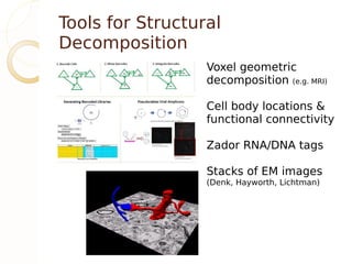 Tools for Structural
Decomposition
                  Voxel geometric
                  decomposition (e.g. MRI)

                  Cell body locations &
                  functional connectivity

                  Zador RNA/DNA tags

                  Stacks of EM images
                  (Denk, Hayworth, Lichtman)
 
