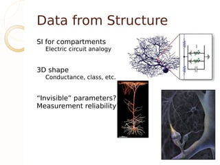 Data from Structure
SI for compartments
  Electric circuit analogy


3D shape
  Conductance, class, etc.


“Invisible” parameters?
Measurement reliability?
 