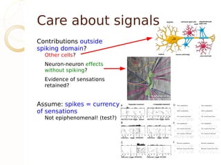 Care about signals
Contributions outside
spiking domain?
  Other cells?
  Neuron-neuron effects
  without spiking?
  Evidence of sensations
  retained?


Assume: spikes = currency
of sensations
  Not epiphenomenal! (test?)
 