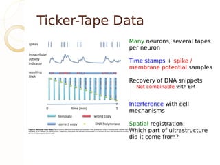 Ticker-Tape Data
             Many neurons, several tapes
             per neuron

             Time stamps + spike /
             membrane potential samples

             Recovery of DNA snippets
               Not combinable with EM


             Interference with cell
             mechanisms

             Spatial registration:
             Which part of ultrastructure
             did it come from?
 