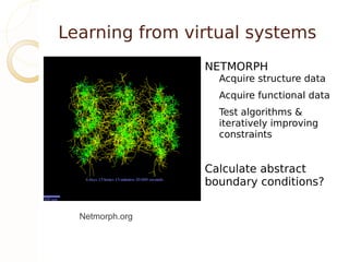 Learning from virtual systems
                 NETMORPH
                   Acquire structure data
                   Acquire functional data
                   Test algorithms &
                   iteratively improving
                   constraints


                 Calculate abstract
                 boundary conditions?


  Netmorph.org
 