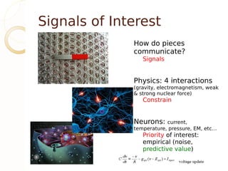Signals of Interest
              How do pieces
              communicate?
                 Signals


              Physics: 4 interactions
              (gravity, electromagnetism, weak
              & strong nuclear force)
                 Constrain


              Neurons:    current,
              temperature, pressure, EM, etc…
                 Priority of interest:
                 empirical (noise,
                 predictive value)
 