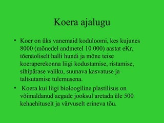 koer-ppt