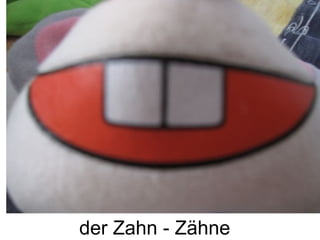 der Zahn - Zähne
 