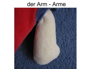 der Arm - Arme
 