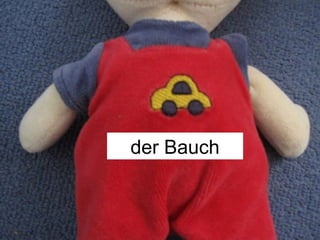 der Bauch
 