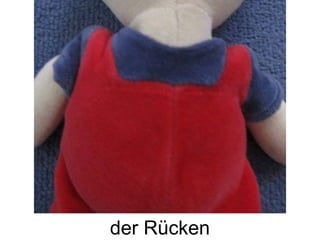 der Rücken
 