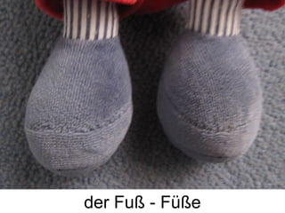 der Fuß - Füße
 