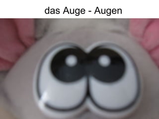 das Auge - Augen
 