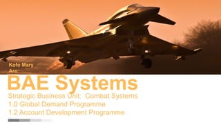 1
Kofo Mary
Are:
BAE SystemsStrategic Business Unit: Combat Systems
1.0 Global Demand Programme
1.2 Account Development Programme
 