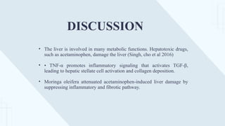 • The liver is involved in many metabolic functions. Hepatotoxic drugs,
such as acetaminophen, damage the liver (Singh, cho et al 2016)
• • TNF-α promotes inflammatory signaling that activates TGF-β,
leading to hepatic stellate cell activation and collagen deposition.
• Moringa oleifera attenuated acetaminophen-induced liver damage by
suppressing inflammatory and fibrotic pathway.
DISCUSSION
 