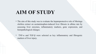 AIM OF STUDY
• The aim of this study was to evaluate the hepatoprotective role of Moringa
oleifera extract on acetaminophen-induced liver fibrosis in albino rats by
assessing liver enzymes, inflammatory markers, gene expression, and
histopathological changes.
• TNF-α and TGF-β were selected as key inflammatory and fibrogenic
markers of liver injury.
 
