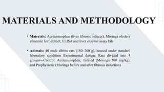 MATERIALS AND METHODOLOGY
• Materials: Acetaminophen (liver fibrosis inducer), Moringa oleifera
ethanolic leaf extract, ELISA and liver enzyme assay kits
• Animals: 40 male albino rats (180–200 g), housed under standard
laboratory condition Experimental design: Rats divided into 4
groups—Control, Acetaminophen, Treated (Moringa 500 mg/kg),
and Prophylactic (Moringa before and after fibrosis induction)
 