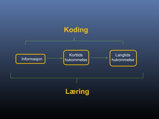 Informasjon
Korttids
hukommelse
Langtids
hukommelse
Læring
Koding
 
