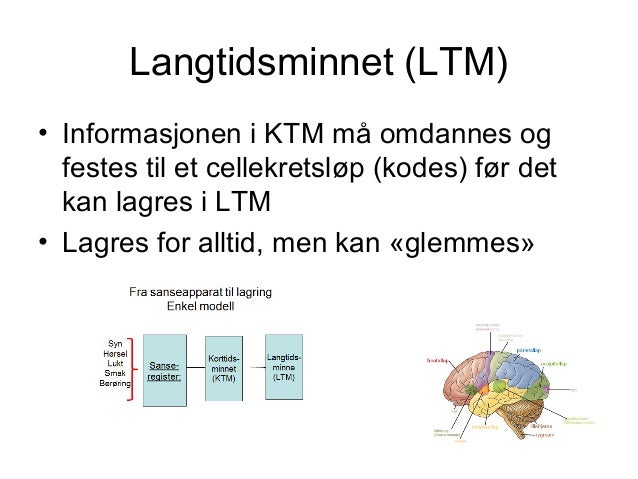 Kognitivt perspektiv