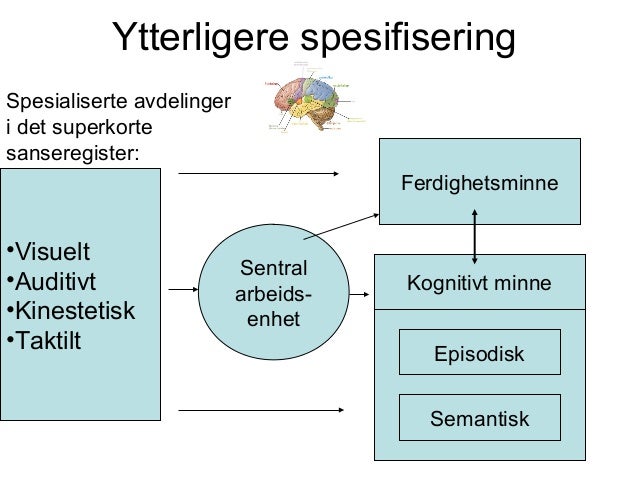 Kognitivt perspektiv