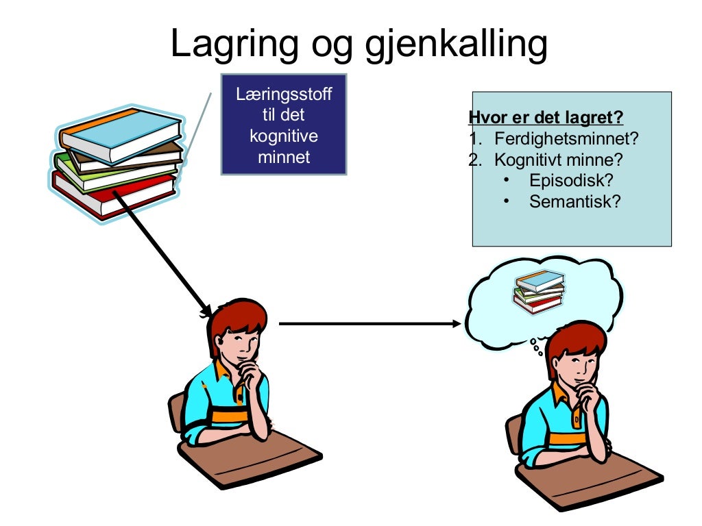 Kognitivt perspektiv